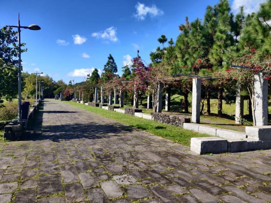 New City Park Apartment In Ponta Delgada Exterior photo